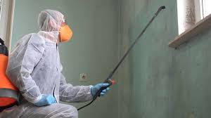 Best Emergency Mold Remediation  in Sloatsburg, NY