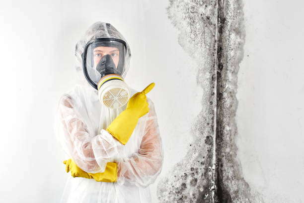 Best Environmental Consulting for Mold Prevention  in Sloatsburg, NY