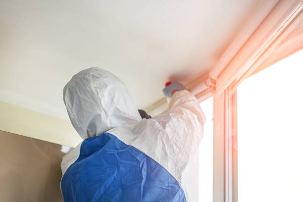 Best Commercial Mold Inspection  in Sloatsburg, NY