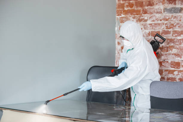 Best Dehumidification Services  in Sloatsburg, NY